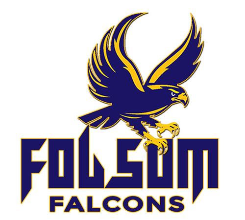 Falcon Logo 